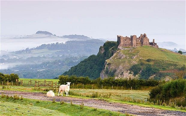 I can give you ideas of where to walk/explore in the South west.
