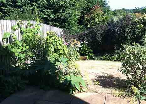 Community litter pick